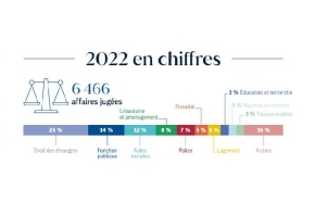 capture d'écran fiche "2022 en chiffres"